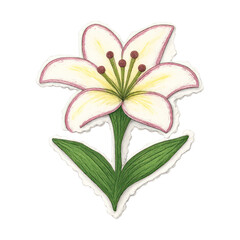 Fototapeta premium PNG Elegant hand-drawn lily illustration.