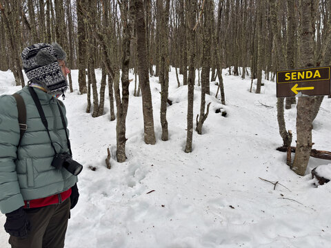UGC Exploring a Snowy Forest Trail on a Winter Day