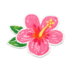 Fototapeta premium PNG Vibrant tropical hibiscus illustration.