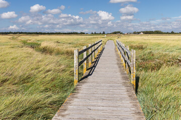 Fototapeta premium Holzweg durch Salzwiesen mit Brücke über einen Priel bei Sankt Peter-Ording in Nordfriesland, Schleswig-Holstein, Deutschland.