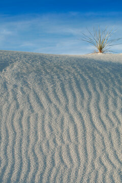 White Sands National Park, New Mexico. Patterns in the gypsum sand 