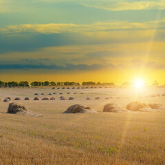 Golden Sunset Over Harvested Wheat Field with Haystacks