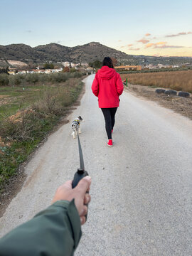 Walking Border Collie Puppy On Rural Road At Sunset