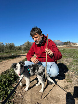 Man Kneeling Beside Blue Merle Border Collie Puppy Holding Stick