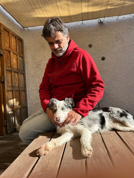 Man Sitting With Resting Blue Merle Border Collie Puppy On Table
