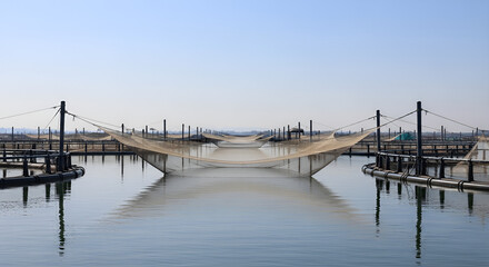Obraz premium Fishing nets suspended over calm water on a serene dock with wooden structures under a clear blue sky