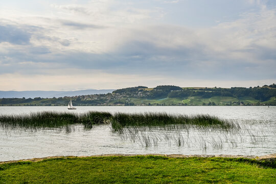 Murten, Morat, Murtensee, See, Seeufer, Mont Vully, Weinberge, Schifffahrt, Seerundfahrt, Segelschiff, Weindorf, Weinregion, Weinbauer, Winzerd&ouml;rfer, Wanderweg, Sommer, Schweiz 