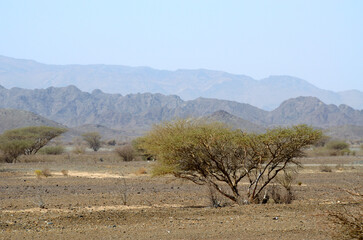 Paisaje des&eacute;rtico y monta&ntilde;oso en Om&aacute;n, Oriente Medio