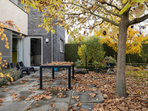 terrace in autumn