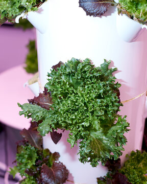 Indoor vertical hydroponic garden tower