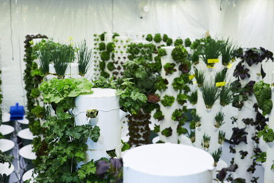 Indoor vertical hydroponic garden tower