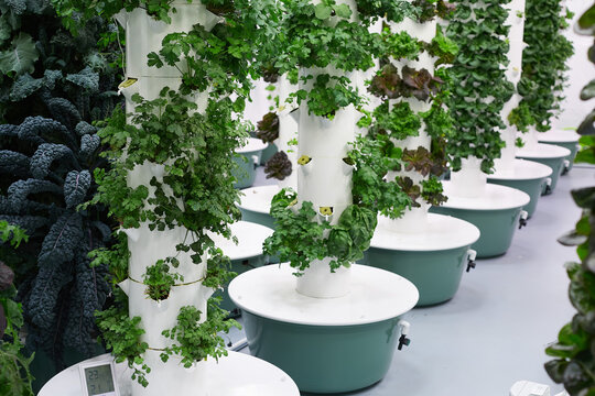 Indoor vertical hydroponic garden tower