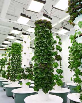 Indoor vertical hydroponic garden tower