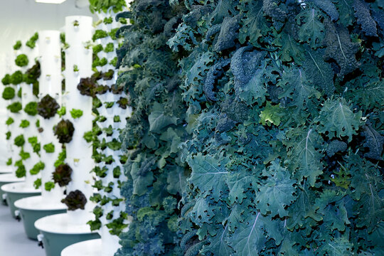 Indoor vertical hydroponic garden tower