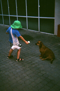 Boy offers ice cream to dog