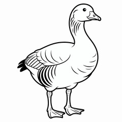 Fototapeta premium Graceful depiction of a goose standing on a plain background in monochrome isolated on white background, Vector, illustration