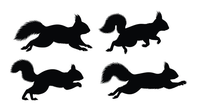 Four black silhouettes of squirrels in various dynamic poses against a white background