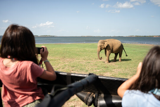 Kid Safari Adventure With Cameras, traveler Sri Lanka