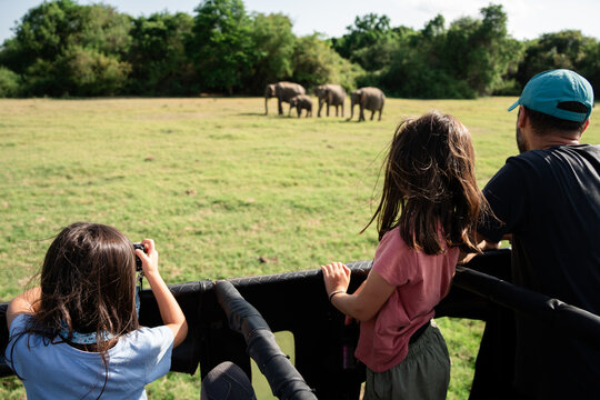 Family in Wildlife Safari With Elephants. Travel Sri Lanka