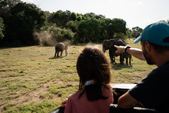 Family in Wildlife Safari With Elephants. Travel Sri Lanka