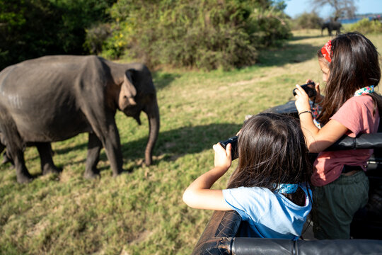 Kids Safari Adventure With Cameras, traveler Sri Lanka