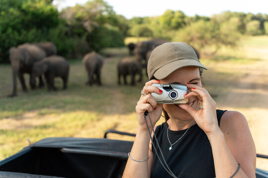 Tourist taking photos, elephant safari. Sri Lanka
