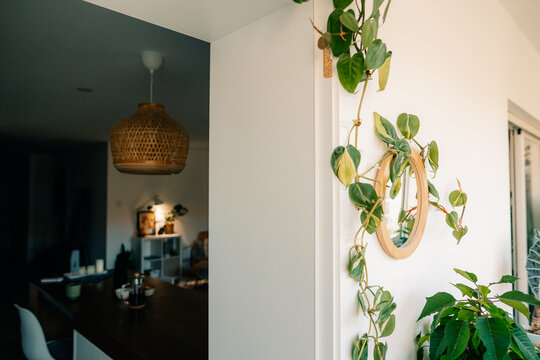 Bright Interior With Plants and Warm Lighting in a Cozy Space