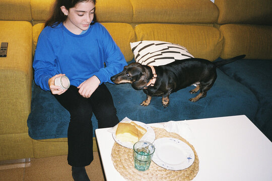 Teckel Dog on Sofa Near Girl with Food