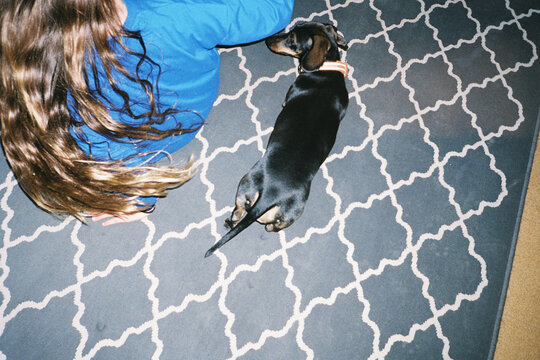 Teckel Dog Lying Beside Girl on Rug
