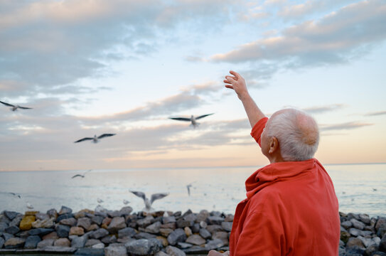 An elderly man feeds seagulls by the sea