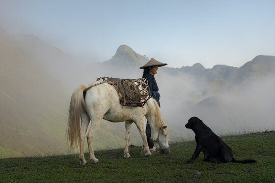 Woman Leading Pack Horse Through Mountain Fog