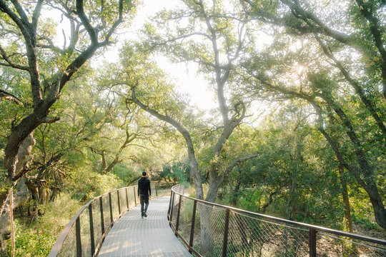 Skywalk bridge trail in Phil Hardberger Park, San Antonio, Texas