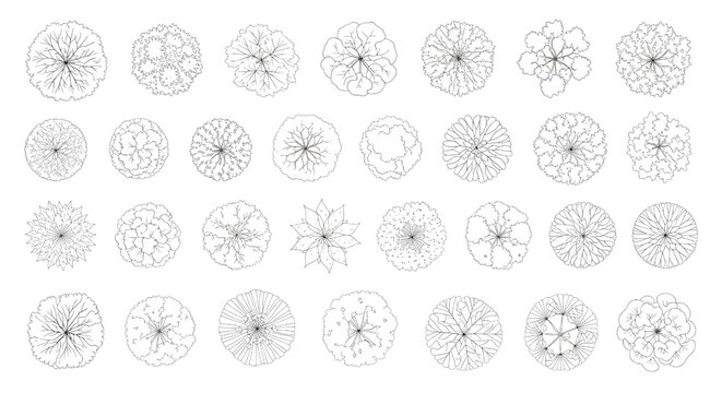 Tree Top View Outline Vector Collection &ndash; Diverse Foliage Patterns for Architecture and Landscape Plans