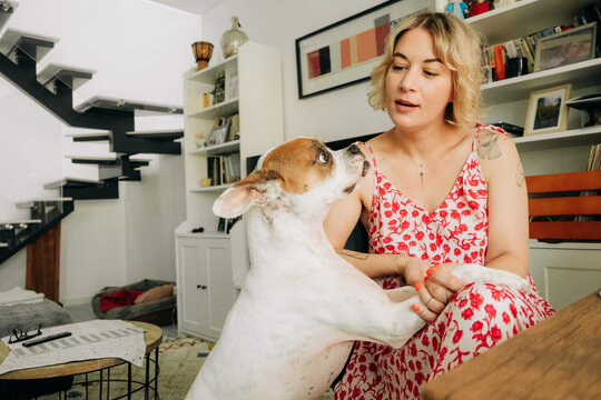 Woman and dog sharing eye contact in cozy modern living room