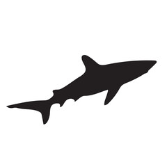 Fototapeta premium Blacktip Reef Shark Silhouette - Editable EPS
