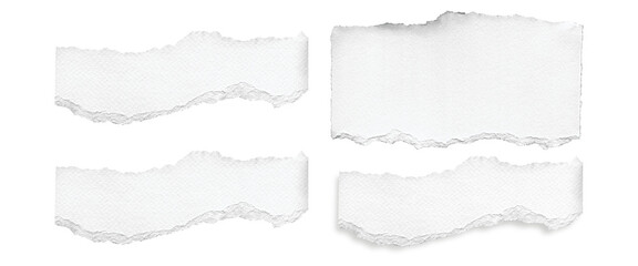 Fototapeta premium Ripped element set of torn paper edges isolated with clipping path on white background. torn paper texture, ripped of paper designs and jagged paper edges create a raw, artistic look Png