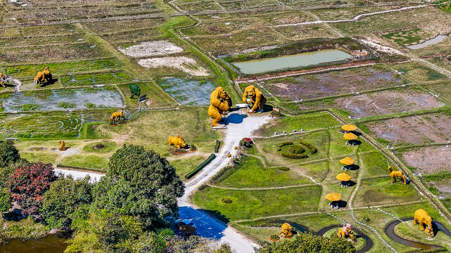 Giant animal sculptures at Huay Tueng Thao Sculpture Park Chiang Mai aerial