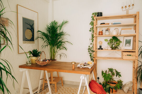 Cozy ceramic home studio with wooden furniture and plants