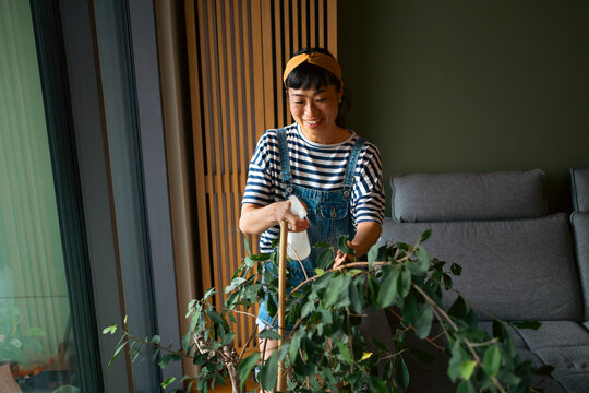 Asian woman spraying an indoor houseplant with water
