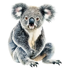 watercolor vector of Koala, isolated on a white background. © nexora