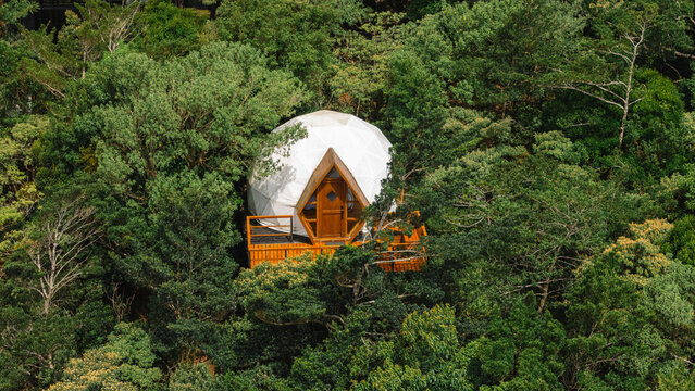 Dome Surrounded by Nature