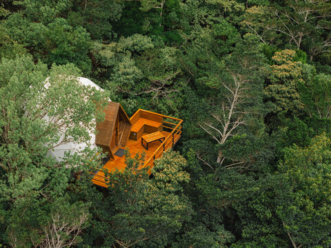 Dome Hidden in Forest