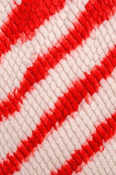 Koi Fish. Koi Fish Scale Texture Seamless Pattern. Close-up koi fish skin detail. Ornamental carp scale surface design. Realistic koi fish texture. Detailed aquatic scale macro close-up. 