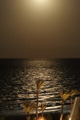 Pełnia księżyca nad oceanem rzucająca łunę światła na oceaniczne fale. © Pawel Zabczyk