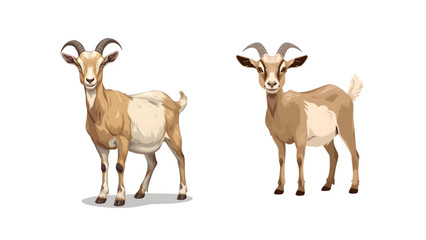 Obraz premium full body goat vector