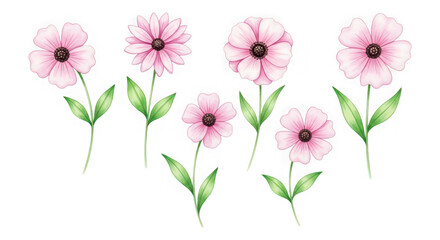 Naklejka premium Six pink flowers with green stems and leaves isolated on transparent background