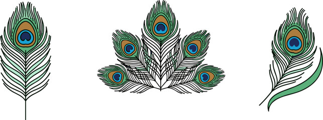 Obraz premium Collection of stylized peacock feathers with iconic eye patterns in green and blue hues