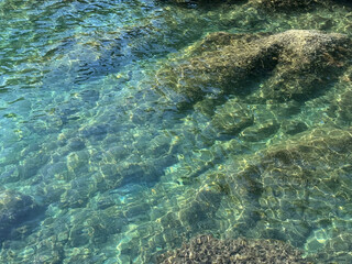 Fototapeta premium Sea crystal clear water surface with algae.