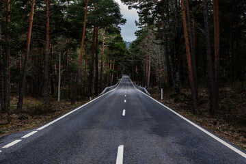 Obraz premium Long straight mountain road surrounded by trees, photographed from the center of the asphalt. No vehicles present, creating a strong sense of direction, perspective and depth.