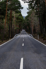 Long straight mountain road surrounded by trees, photographed from the center of the asphalt. No vehicles present, creating a strong sense of direction, perspective and depth. © Luis Martinez T